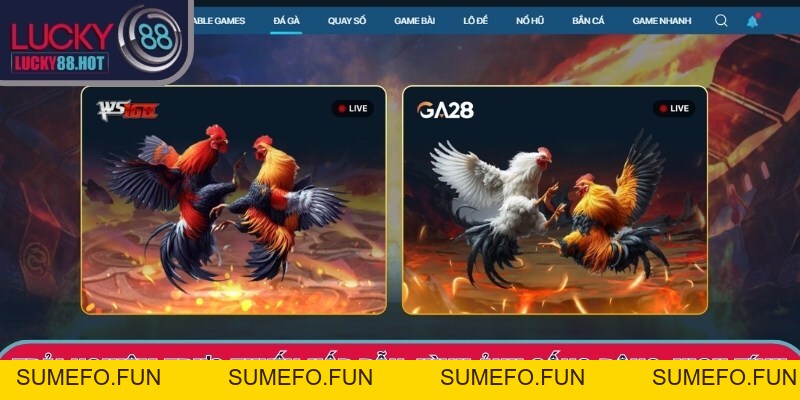 Đá Gà LUCKY88: Sảnh Giải Trí Đa Dạng, Kịch Tính Hấp Dẫn Đá Gà LUCKY88: Sảnh Giải Trí Đa Dạng, Kịch Tính Hấp Dẫn