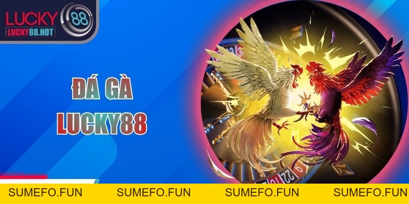 Đá Gà LUCKY88: Sảnh Giải Trí Đa Dạng, Kịch Tính Hấp Dẫn Đá Gà LUCKY88: Sảnh Giải Trí Đa Dạng, Kịch Tính Hấp Dẫn